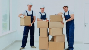 Why you should hire local Movers and Packers?